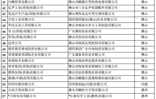 湛江专业电子商务价格表