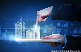 电子商务留学转什么专业好