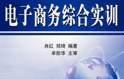 电子商务专业实训课计划