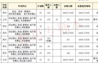 电子商务专业就业计划书