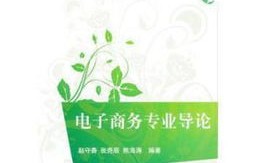 电子商务专业导论观后感
