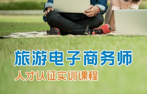 旅游电子商务专业课程