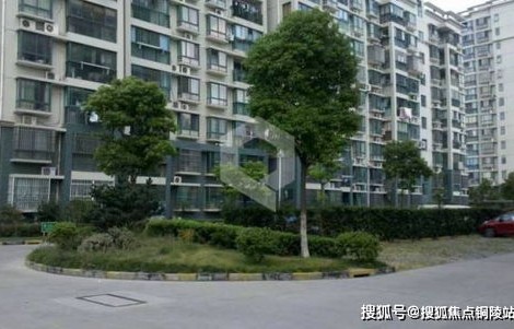 松江区专业性电子商务费用