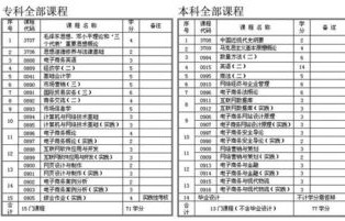 电子商务专业教啥科目啊