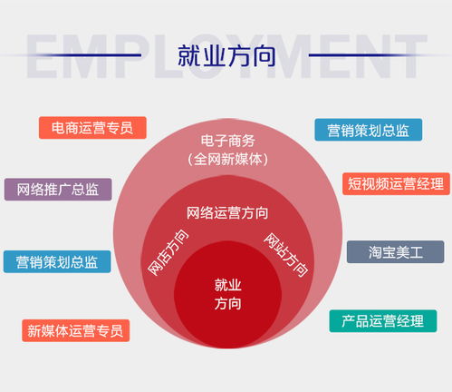 电子商务专业的就业需求