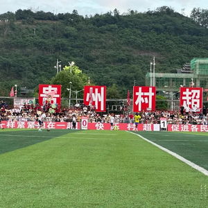 贵州“村超”被足协叫停？假的