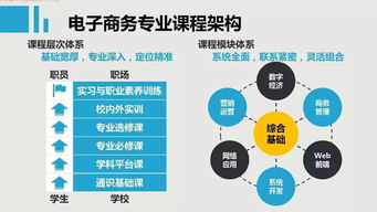 电子商务专业课程总结