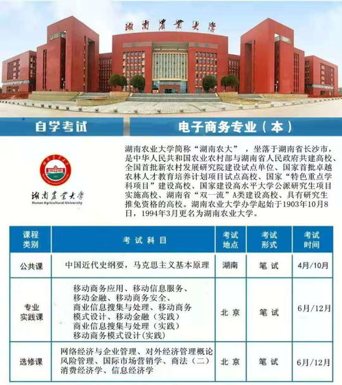 电子商务专业能考的大学