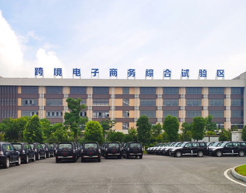 跨境电子商务专业青岛公办大专
