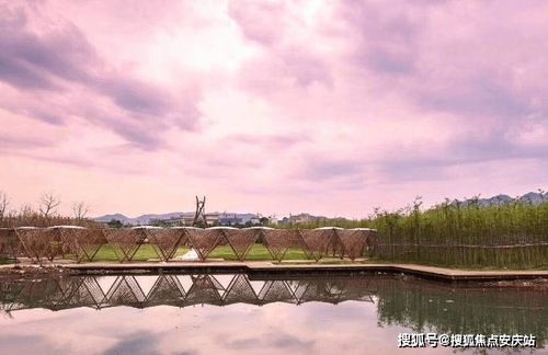 专业概述五分钟电子商务