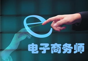 电子商务师是啥专业类别