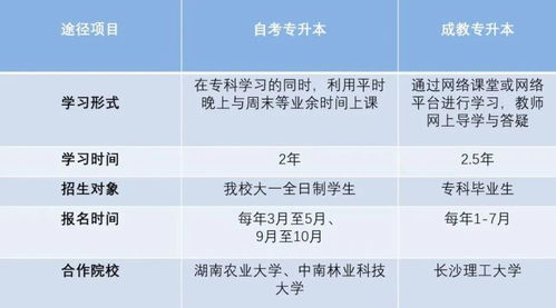 电子商务专业湖南省单招