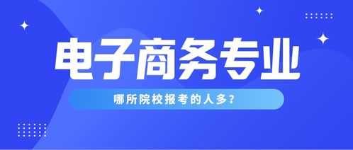 电子商务专业是第几大类