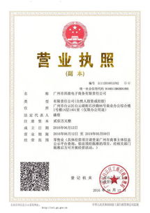 鼎峰专升本有电子商务专业吗