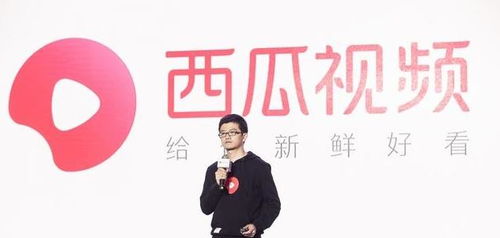 专家：越南在此时对美低头押错了宝