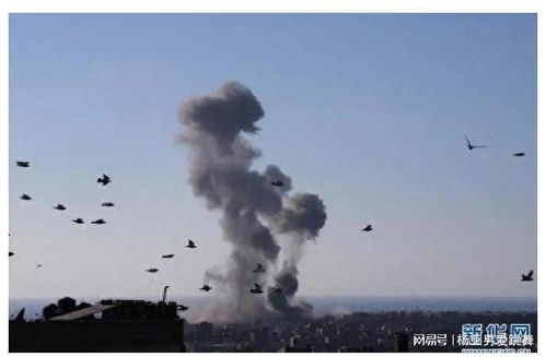印尼谴责空袭加沙，院长遇难引发国际关注