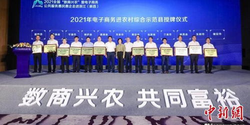 东阳电子商务专业村